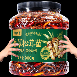 正宗云南油鸡枞菌大桶松茸牛肝菌味新鲜即食山珍菌菇炒饭批发商用