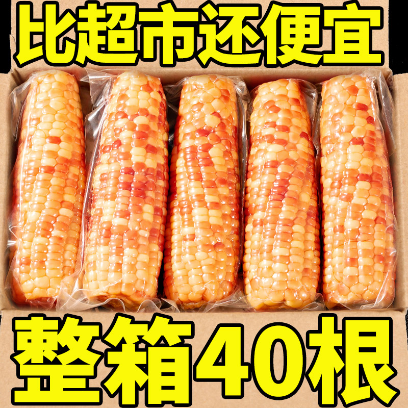 10斤云南西双版纳香糯小玉米棒