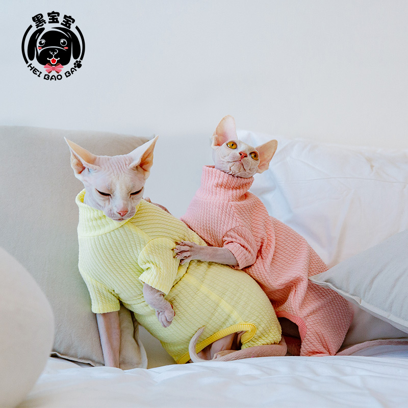 四脚裤德文加绒冬季斯芬克斯猫