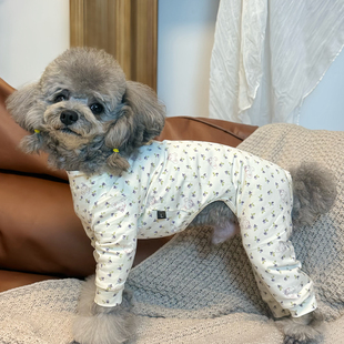 宠物小狗狗衣服贵宾泰迪四脚衣比熊夏天衣服薄款四季可穿