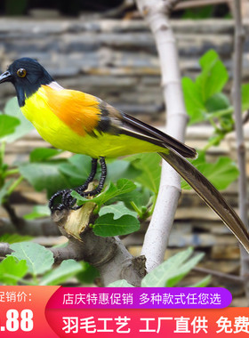 新品仿真羽毛蓝冠噪鹛彩色小鸟家居小摆件稀有鸟教学科普摄影道具