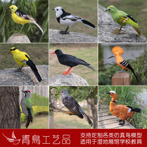 仿真鸟类模型湿地展馆学校教具