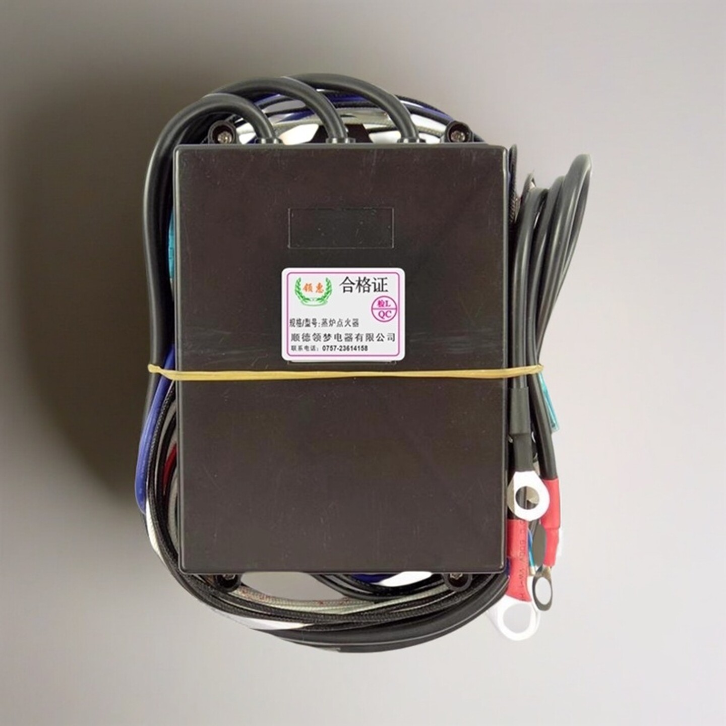 蒸炉点火煮面炉脉冲点火器220V蒸柜蒸包炉汤桶蒸饭柜变压器双24V