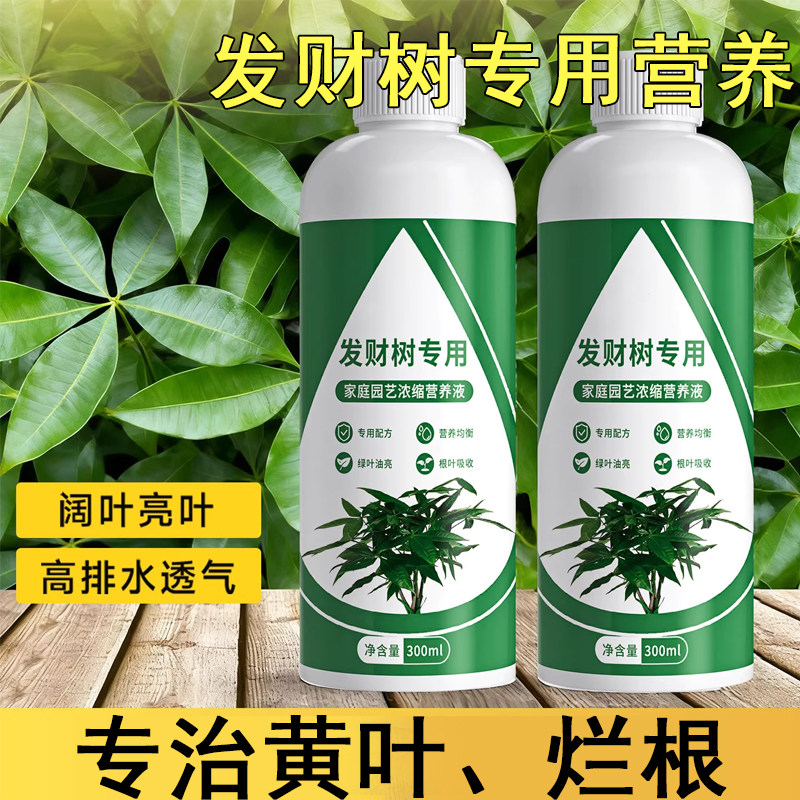 发财树专用营养液肥料水培植物叶子发黄掉叶液体复合肥补充氮磷钾,鲜花速递/花卉仿真/绿植园艺,家庭园艺肥料,淘宝优惠券,粉丝福利购,淘宝优惠卷