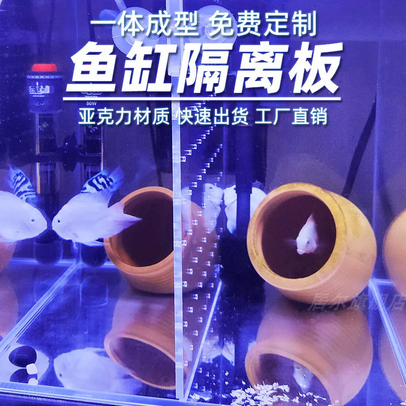 鱼缸隔离板亚克力隔板鱼苗分隔板透明隔断分离板小网格挡板水族