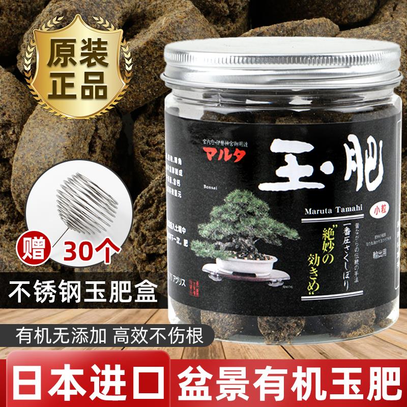 玉肥日本进口松柏盆景专用