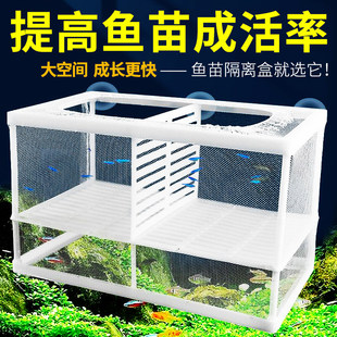 鱼缸隔离网隔离盒孔雀鱼繁殖盒斗鱼孵化器繁殖箱悬浮式分离网