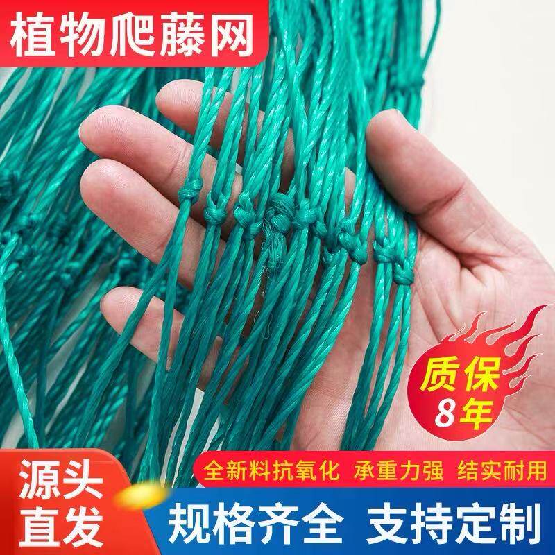 爬藤网植物花卉瓜果花卉藤蔓攀爬网丝瓜苦瓜吊瓜葡萄爬藤种植网