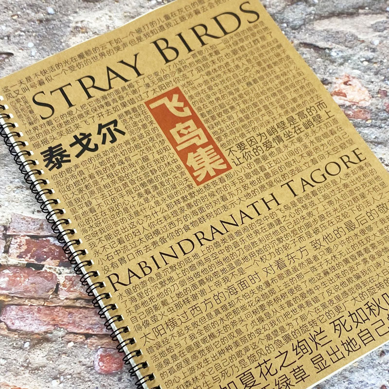 诗词飞鸟集语录泰戈尔周边神仙学生楷书正楷临摹高考作文素材字帖