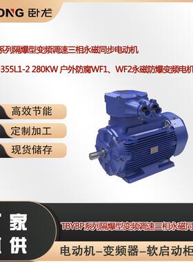 TBYBP-355L1-2280W户外防腐WF1、WF2永磁防爆变频电机