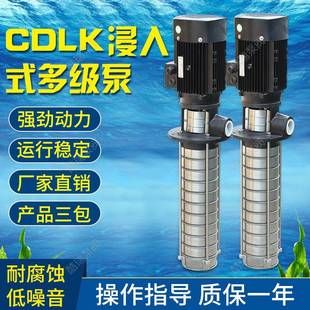 牌液下浸入式多级泵CDLK4-40浸入式水泵CDLK液下离心泵