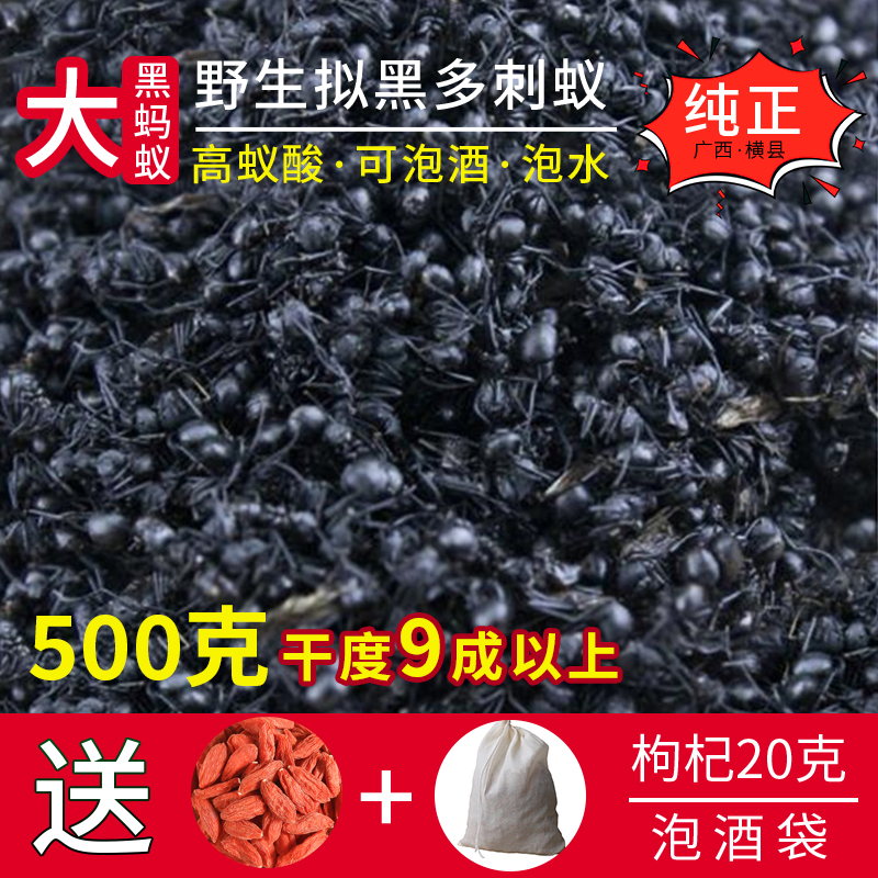 广西野生黑蚂蚁干正品拟黑多刺蚁食用泡酒料500克另售冰冻生蚂蚁