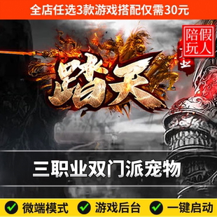热血传奇单机版电脑踏天三职业神族魔族宠物晋阶假人陪玩微端光柱