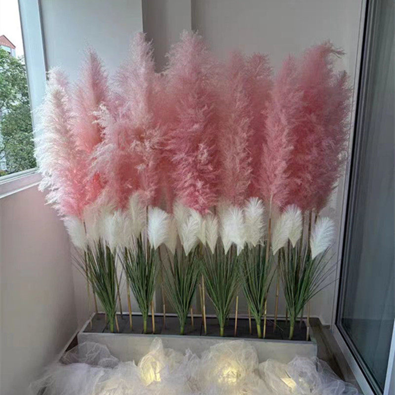 天然粉色芦苇草干芦苇真花干花婚庆芦苇装饰花插花客厅橱窗道具落