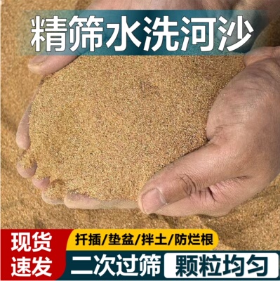 养花专用型河沙多肉种植沙家用鱼缸造景底沙种菜通用免洗细沙粗沙