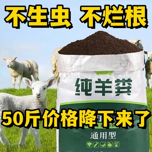 纯羊粪100斤内蒙古发酵有机肥