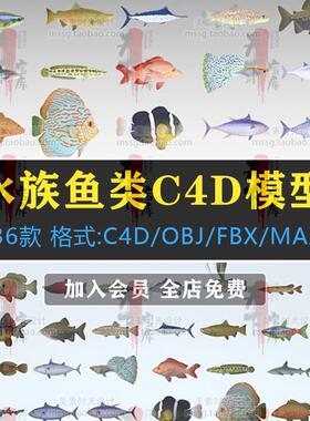 36条海洋水族鱼群七彩鱼金鱼鲨鱼C4D模型FBX OBJ格式3D素材C1508