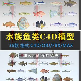 36条海洋水族鱼群七彩鱼金鱼鲨鱼C4D模型FBX OBJ格式3D素材C1508