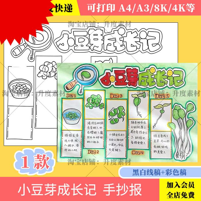 绿豆芽生长记手抄报小学生绿豆芽观察日记成长记录自然笔记线稿a4