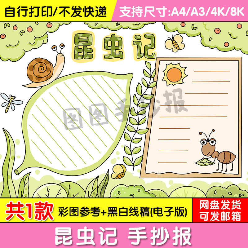 昆虫记读后感手抄报电子版小学生好书推荐手绘小报a4线稿a3模板8k