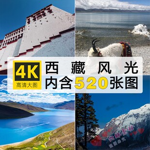 高清西藏风景美景雪山布达拉宫湖泊草原风光旅游景点壁纸图片素材