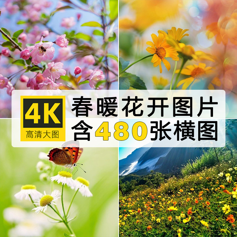 4K高清春暖花开唯美春天花朵花卉绿色护眼背景电脑平板壁纸图片
