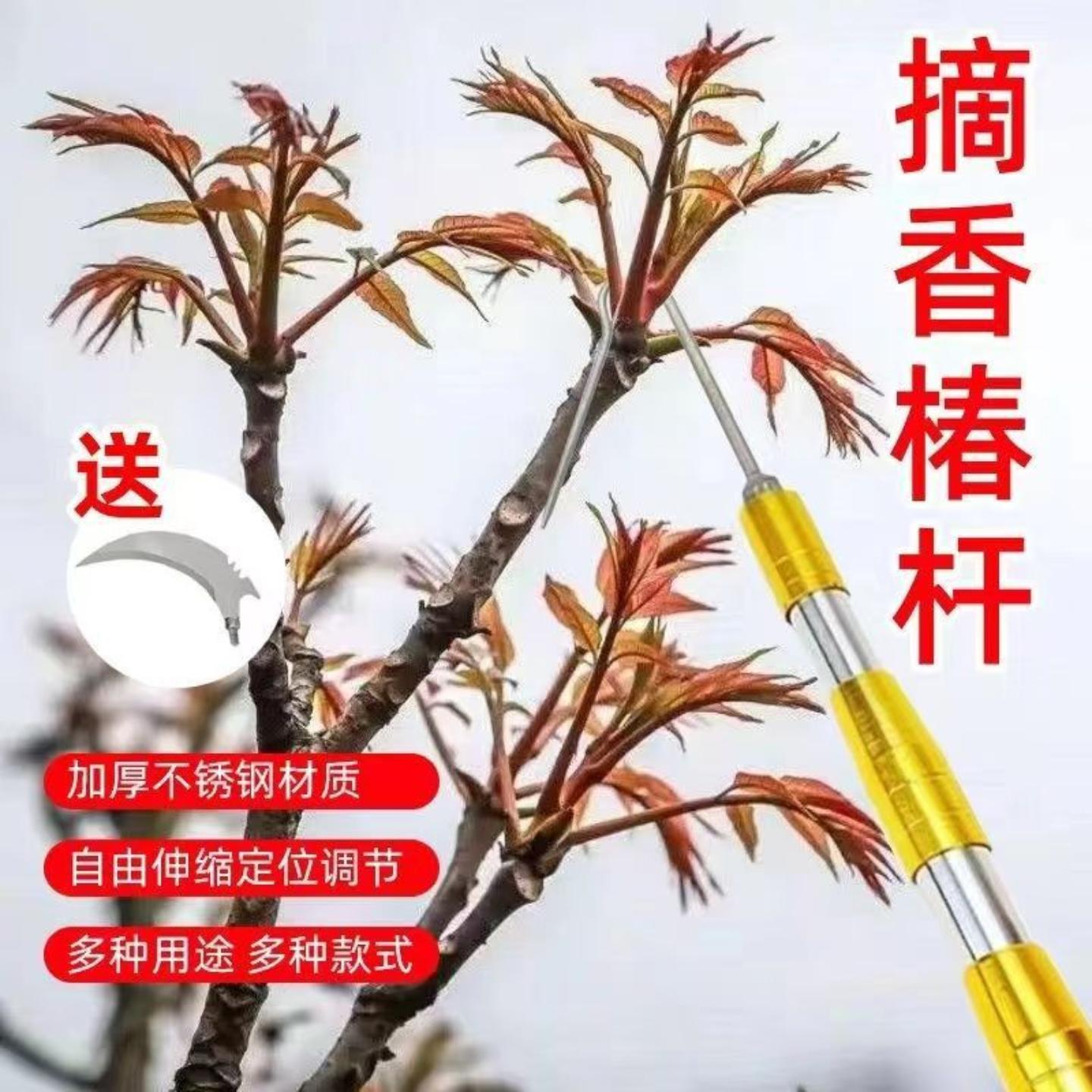 摘香椿神器不锈钢伸缩杆户外高空