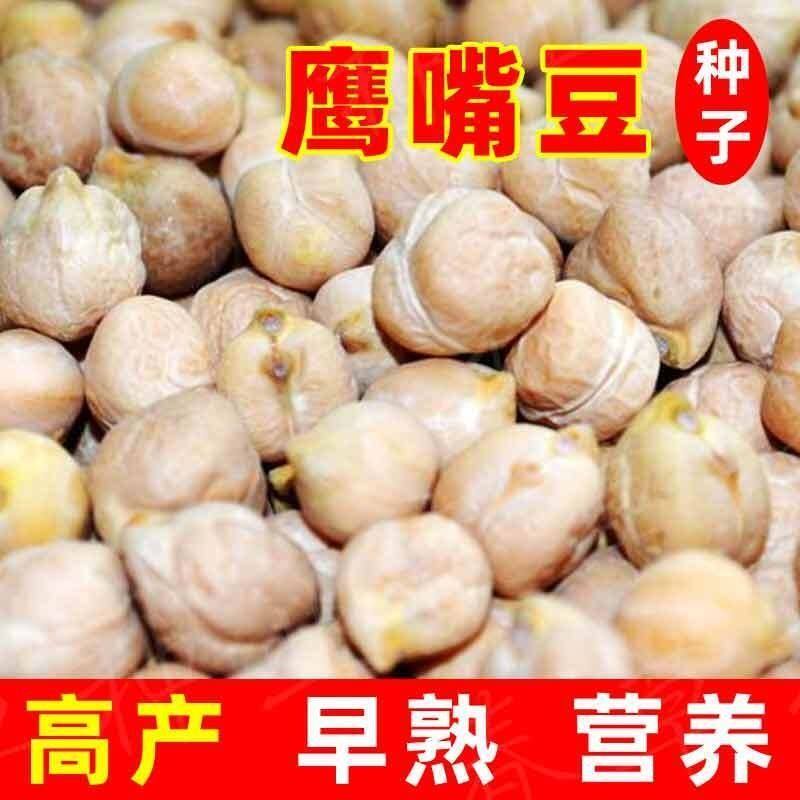 鹰嘴豆种子 春秋播 桃尔豆 鸡豆 鸡心豆 新疆鹰嘴豆高产包邮