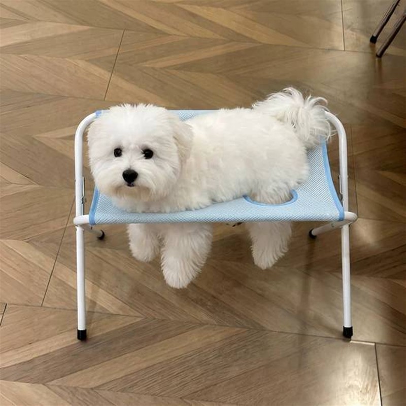 狗狗洗澡架猫咪剪指甲固定神器防抓防咬宠物美容吊床可折叠躺椅