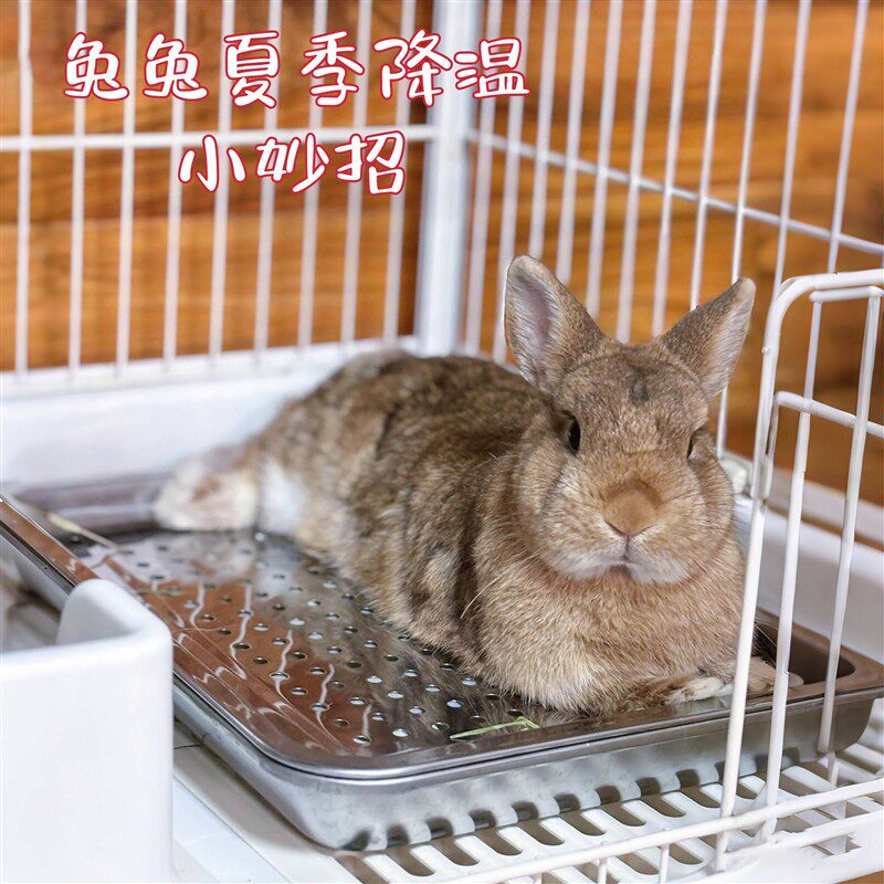 宠物冰垫夏季兔子窝耐抓耐咬小宠降温解暑冰盒猫咪狗狗睡觉凉垫
