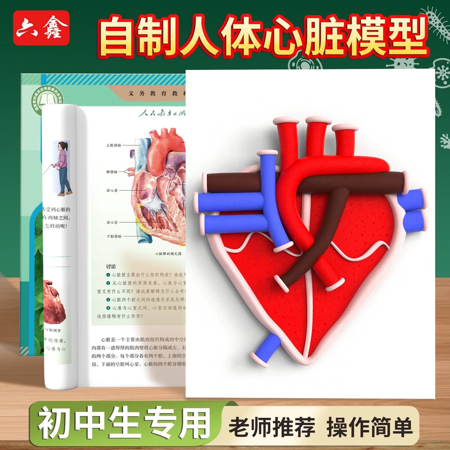 心脏模型初中生物科技小制作手工diy材料七年级上册生物橡皮泥无毒