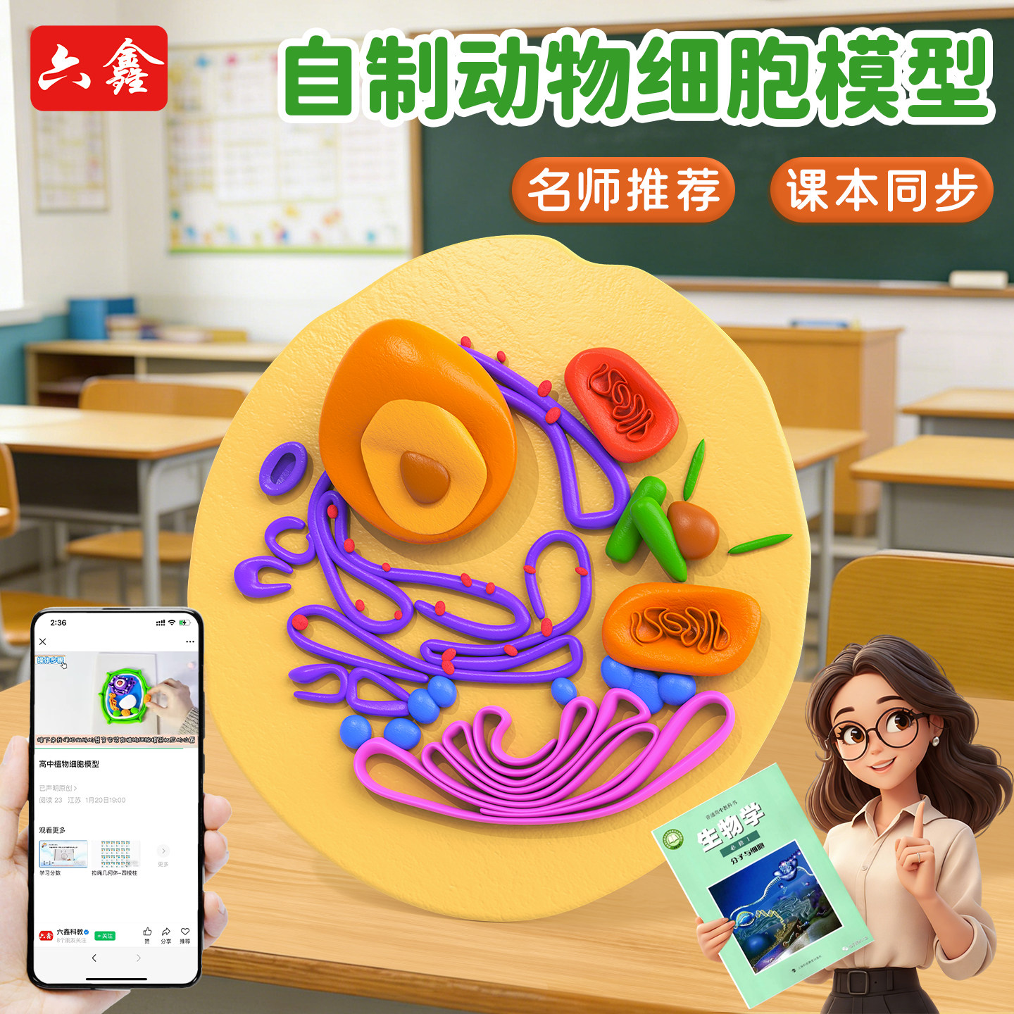 初高中生物自制动物细胞模型材料包儿童橡皮泥黏土科学小实验七年级下