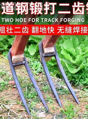 农用全钢长把二齿锄头两用挖土开荒种菜开垦种地农具三齿农用耙子