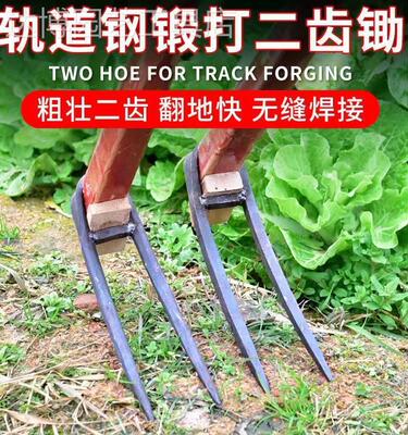 农用全钢长把二齿锄头两用挖土开荒种菜开垦种地农具三齿农用耙子