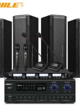 SHILE/狮乐 AV-108/BX-402两对+SH20专业中小型会议室音响系统