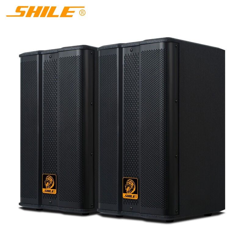 狮乐 BX-503音响8英寸木质壁挂培训舞蹈会议室教学家用卡拉OK音箱