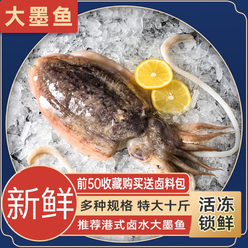 北海新鲜墨鱼整只冷冻卤水超大