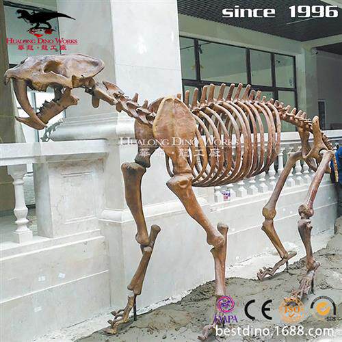 玻璃钢恐龙骨架仿真化石骨架源头工厂制造博物馆展览馆科普模型
