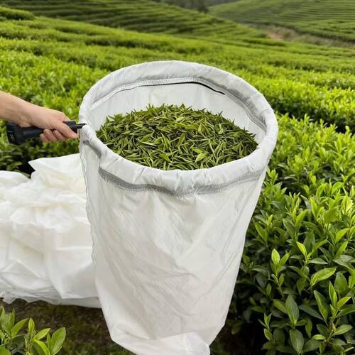 电动采茶袋支架圆型设计魔术贴款集叶袋茶叶采摘-升级款