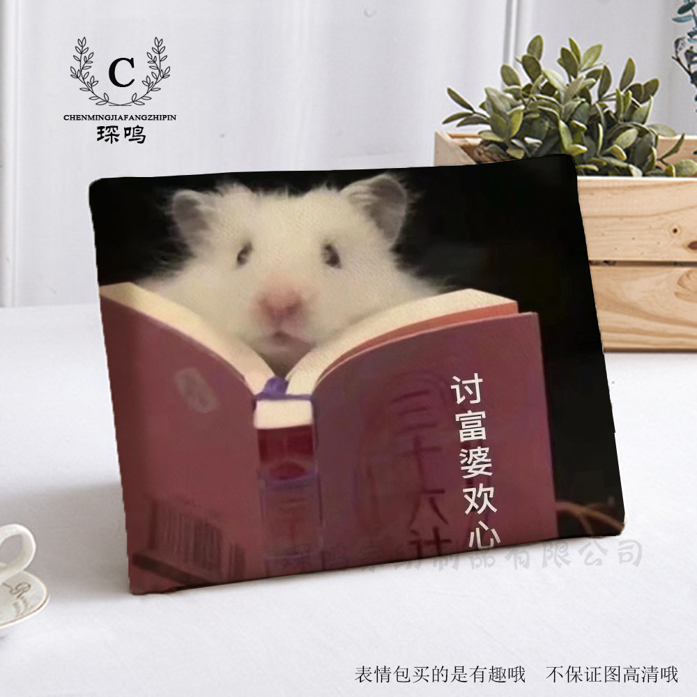 毛绒河北简约现代增高坐垫