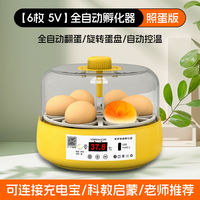 Incubator, Luting chicken chick incubator, small household intelligent incubator, water bed parrot fully automatic incubator thumbnail 4