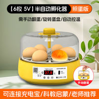 Incubator, Luting chicken chick incubator, small household intelligent incubator, water bed parrot fully automatic incubator thumbnail 3