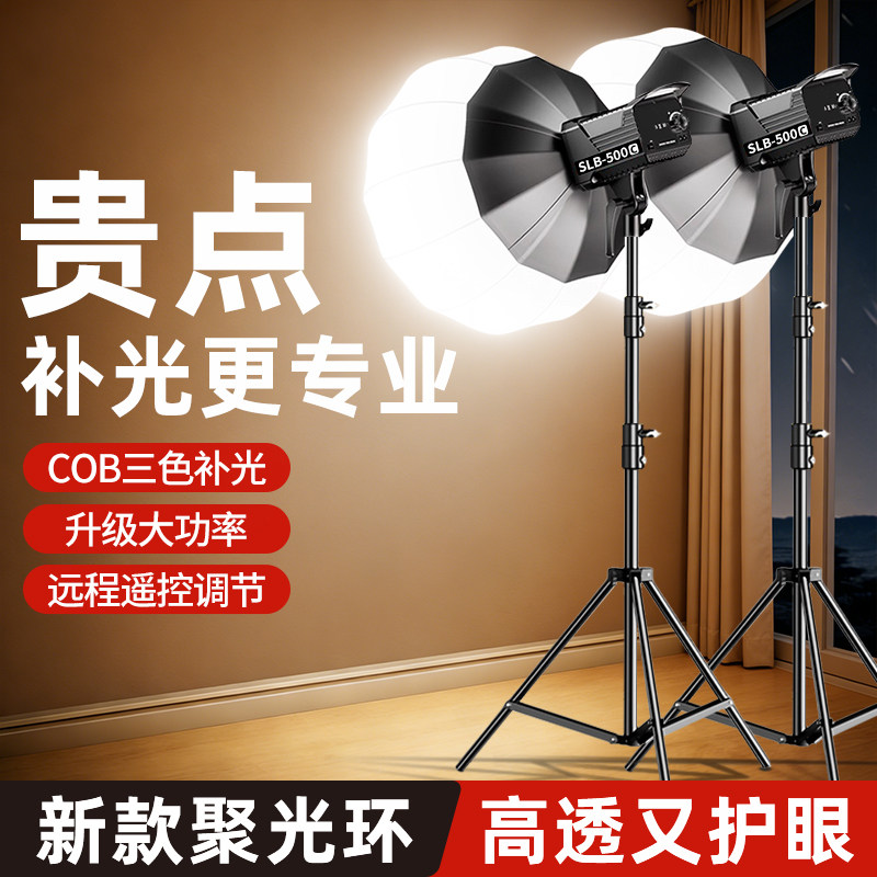 锐富图COB专业直播补光灯主播专用拍摄打光120W直播间球灯美颜