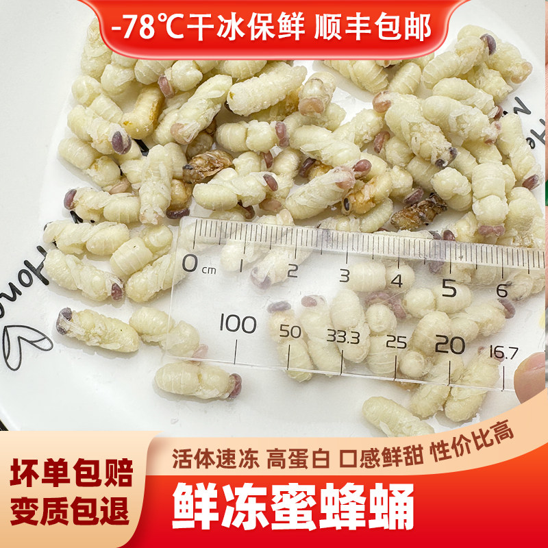 蜜蜂蛹 新鲜冷冻天然活体速冻500g可食用昆虫高蛋白滋补