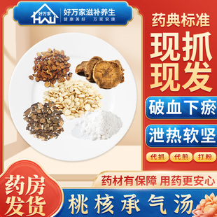 桃核承气汤伤寒论 破血下瘀 泄热软坚经典方燀桃仁大黄芒硝炙甘草