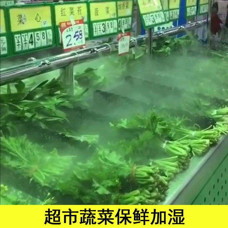 赛普乐工业加湿器超声波加湿机车间空气增湿喷雾蔬菜保鲜消毒机
