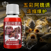 高浓度五彩阿魏专用钓鱼小药腥臭浓缩聚诱鲢鳙饵窝料开口黑坑野钓