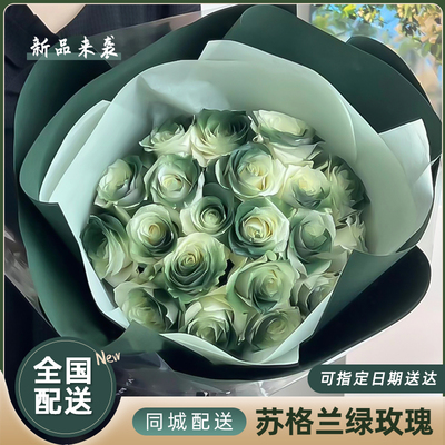苏格兰绿玫瑰花束送女友鲜花速递同城上海北京广东生日全国配送店