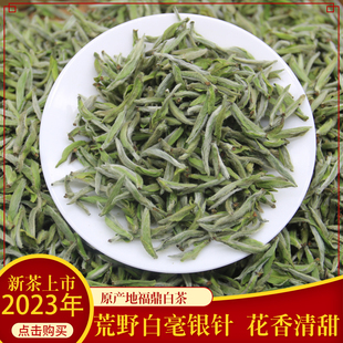 原产地新茶2023年福鼎白茶头采荒野白毫银针50g散茶袋装干仓茶
