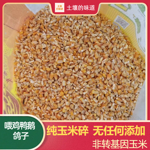 玉米碎鸡鸭鹅饲料玉米粒玉米糁玉米碎膨化棒玉米棒子玉米渣